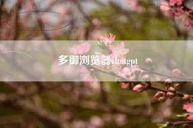 多御浏览器chatgpt