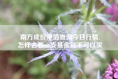 南方成份净值查询今日行情,
怎样去看一支基金可不可以买 南方成份净值查询今日行情,
怎样去看一支基金可不可以买