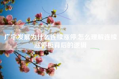 广宇发展为什么连续涨停,怎么理解连续涨停板背后的逻辑