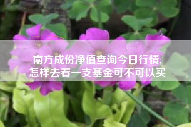 南方成份净值查询今日行情,
怎样去看一支基金可不可以买 南方成份净值查询今日行情,
怎样去看一支基金可不可以买