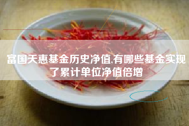 富国天惠基金历史净值,有哪些基金实现了累计单位净值倍增