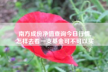 南方成份净值查询今日行情,
怎样去看一支基金可不可以买 南方成份净值查询今日行情,
怎样去看一支基金可不可以买