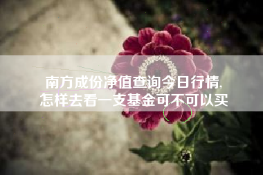 南方成份净值查询今日行情,
怎样去看一支基金可不可以买 南方成份净值查询今日行情,
怎样去看一支基金可不可以买