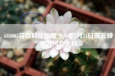 688005容百科技股票,2020年7月24日周五股市为何会大跌