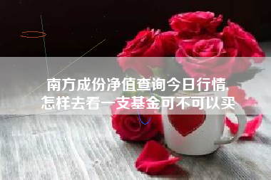 南方成份净值查询今日行情,
怎样去看一支基金可不可以买 南方成份净值查询今日行情,
怎样去看一支基金可不可以买