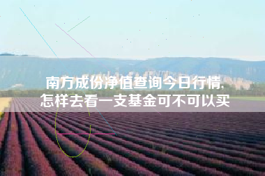 南方成份净值查询今日行情,
怎样去看一支基金可不可以买 南方成份净值查询今日行情,
怎样去看一支基金可不可以买