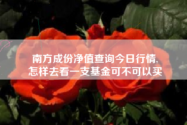 南方成份净值查询今日行情,
怎样去看一支基金可不可以买 南方成份净值查询今日行情,
怎样去看一支基金可不可以买