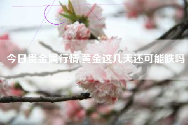今日贵金属行情,黄金这几天还可能跌吗