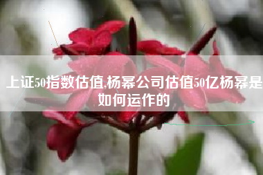 上证50指数估值,杨幂公司估值50亿杨幂是如何运作的