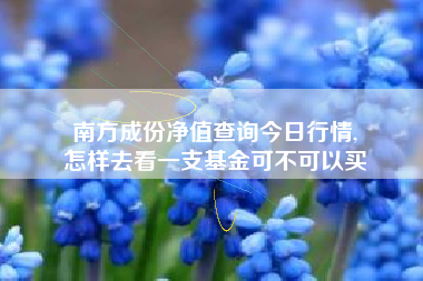 南方成份净值查询今日行情,
怎样去看一支基金可不可以买 南方成份净值查询今日行情,
怎样去看一支基金可不可以买