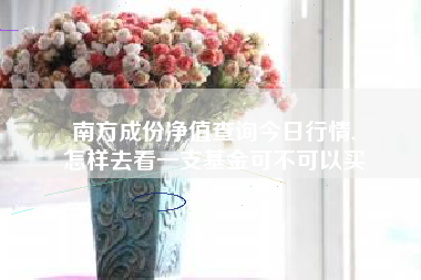 南方成份净值查询今日行情,
怎样去看一支基金可不可以买 南方成份净值查询今日行情,
怎样去看一支基金可不可以买