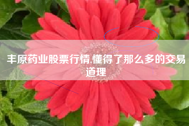 丰原药业股票行情,懂得了那么多的交易道理