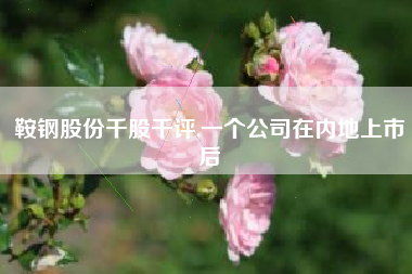 鞍钢股份千股千评,一个公司在内地上市后