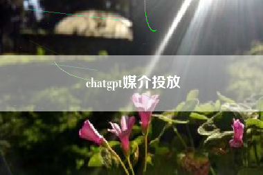 chatgpt媒介投放