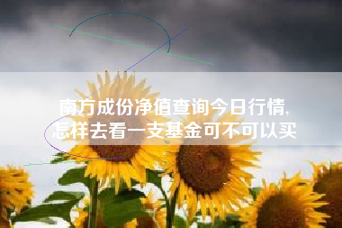 南方成份净值查询今日行情,
怎样去看一支基金可不可以买 南方成份净值查询今日行情,
怎样去看一支基金可不可以买