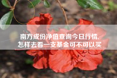 南方成份净值查询今日行情,
怎样去看一支基金可不可以买 南方成份净值查询今日行情,
怎样去看一支基金可不可以买