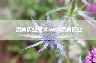 康美药业现状,600518康美药业