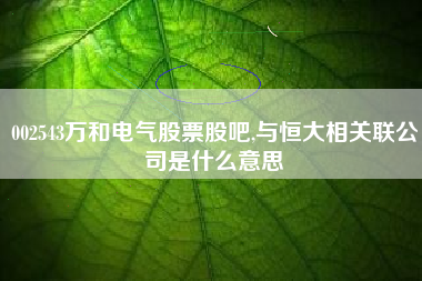 002543万和电气股票股吧,与恒大相关联公司是什么意思