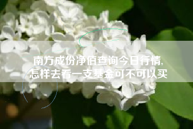 南方成份净值查询今日行情,
怎样去看一支基金可不可以买 南方成份净值查询今日行情,
怎样去看一支基金可不可以买