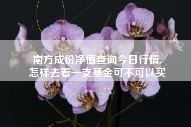 南方成份净值查询今日行情,
怎样去看一支基金可不可以买 南方成份净值查询今日行情,
怎样去看一支基金可不可以买