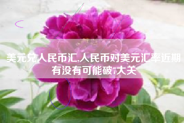 美元兑人民币汇,人民币对美元汇率近期有没有可能破7大关