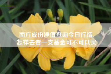 南方成份净值查询今日行情,
怎样去看一支基金可不可以买 南方成份净值查询今日行情,
怎样去看一支基金可不可以买
