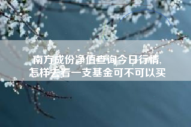 南方成份净值查询今日行情,
怎样去看一支基金可不可以买 南方成份净值查询今日行情,
怎样去看一支基金可不可以买
