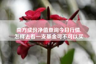 南方成份净值查询今日行情,
怎样去看一支基金可不可以买 南方成份净值查询今日行情,
怎样去看一支基金可不可以买