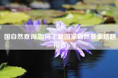 国自然查询,如何下载国家自然基金结题报告