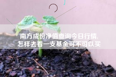 南方成份净值查询今日行情,
怎样去看一支基金可不可以买 南方成份净值查询今日行情,
怎样去看一支基金可不可以买