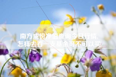 南方成份净值查询今日行情,
怎样去看一支基金可不可以买 南方成份净值查询今日行情,
怎样去看一支基金可不可以买