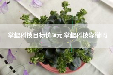 掌趣科技目标价50元,掌趣科技靠谱吗