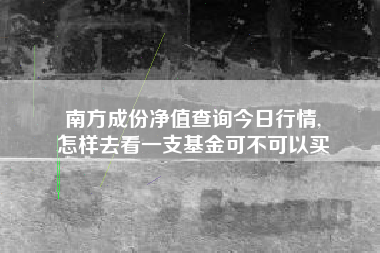 南方成份净值查询今日行情,
怎样去看一支基金可不可以买 南方成份净值查询今日行情,
怎样去看一支基金可不可以买