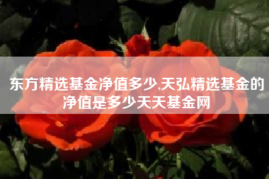 东方精选基金净值多少,天弘精选基金的净值是多少天天基金网