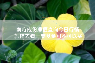 南方成份净值查询今日行情,
怎样去看一支基金可不可以买 南方成份净值查询今日行情,
怎样去看一支基金可不可以买