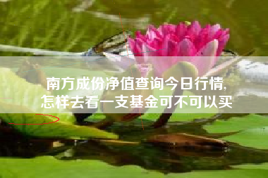 南方成份净值查询今日行情,
怎样去看一支基金可不可以买 南方成份净值查询今日行情,
怎样去看一支基金可不可以买