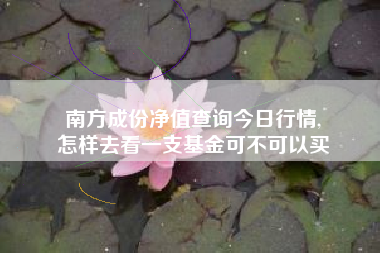南方成份净值查询今日行情,
怎样去看一支基金可不可以买 南方成份净值查询今日行情,
怎样去看一支基金可不可以买