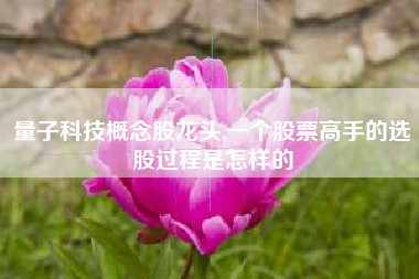 量子科技概念股龙头,一个股票高手的选股过程是怎样的