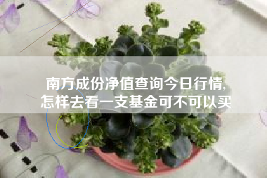 南方成份净值查询今日行情,
怎样去看一支基金可不可以买 南方成份净值查询今日行情,
怎样去看一支基金可不可以买