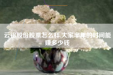 云铝股份股票怎么样,大家半年的时间能赚多少钱