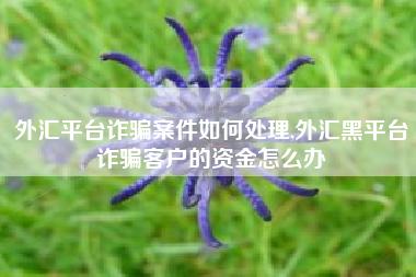 外汇平台诈骗案件如何处理,外汇黑平台诈骗客户的资金怎么办