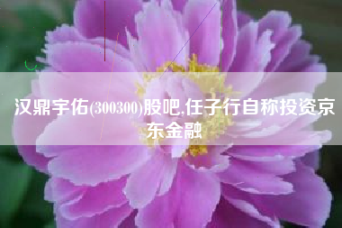 汉鼎宇佑(300300)股吧,任子行自称投资京东金融