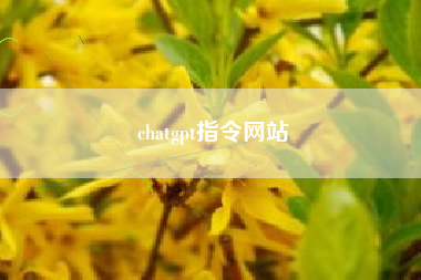 chatgpt指令网站