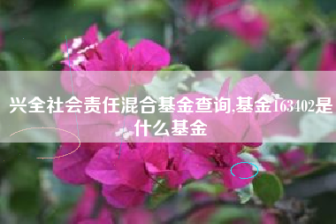 兴全社会责任混合基金查询,基金163402是什么基金