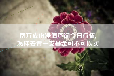 南方成份净值查询今日行情,
怎样去看一支基金可不可以买 南方成份净值查询今日行情,
怎样去看一支基金可不可以买