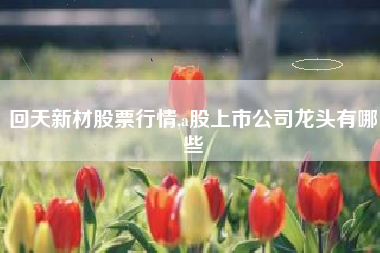 回天新材股票行情,a股上市公司龙头有哪些