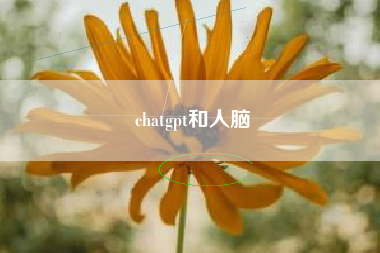 chatgpt和人脑