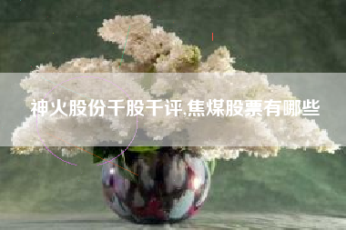 神火股份千股千评,焦煤股票有哪些