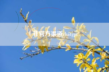 非官方渠道chatgpt
