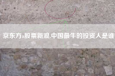 京东方a股票新浪,中国最牛的投资人是谁